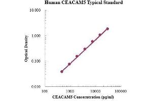 ELISA image for Carcinoembryonic Antigen-Related Cell Adhesion Molecule 5 (CEACAM5) ELISA Kit (ABIN3199206) (CEACAM5 ELISA 试剂盒)
