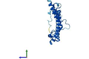 Protein Structure (PS) image for NADH Dehydrogenase (Ubiquinone) 1 beta Subcomplex, 10, 22kDa (NDUFB10) (AA 1-172) protein (His tag) (ABIN7549673)