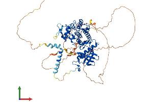 AlphaFold protein structure predicition of Human Recombinant DYRK1B Protein, UniprotID Q9Y463