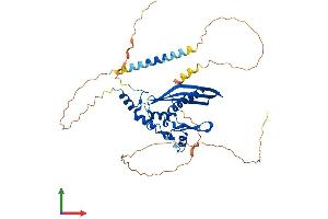 Protein Structure (PS) image for RAD52 Homolog (S. Cerevisiae) (RAD52) (AA 1-418) protein (His tag) (ABIN7551250)