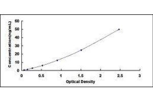 Typical standard curve (Adiponectin Receptor 2 ELISA 试剂盒)