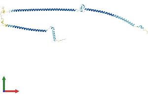 Protein Structure (PS) image for RIB43A Domain with Coiled-Coils 1 (RIBC1) (AA 1-379) protein (His tag) (ABIN7560827)