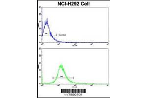 Flow cytometric analysis of NCI-H292 cells using DPT Antibody (bottom histogram) compared to a negative control cell (top histogram). (Dermatopontin 抗体  (AA 102-128))