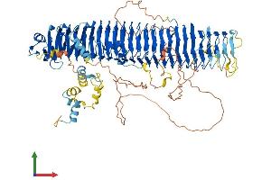 Protein Structure (PS) image for F-Box Protein 10 (FBXO10) (AA 1-950) protein (His tag) (ABIN7564204)