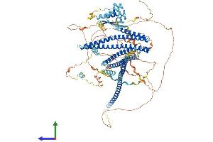 Protein Structure (PS) image for Junction Mediating and Regulatory Protein, P53 Cofactor (JMY) (AA 1-983) protein (His tag) (ABIN7565150)