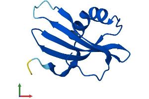 Protein Structure (PS) image for Cystatin A (Stefin A) (CSTA) (AA 1-97) protein (His tag) (ABIN7556485)