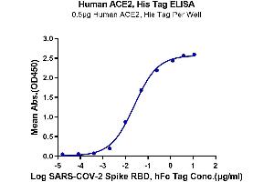 ELISA image for Angiotensin I Converting Enzyme 2 (ACE2) (AA 18-740) protein (His-Avi Tag) (ABIN7273793)