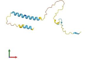 Protein Structure (PS) image for PDZK1 Interacting Protein 1 (PDZK1IP1) (AA 1-114) protein (His tag) (ABIN7560545)