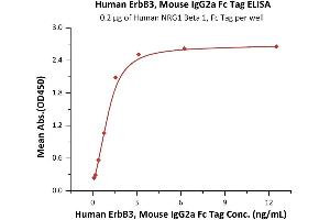 ELISA image for Receptor Tyrosine-Protein Kinase ErbB-3 (ERBB3) (AA 20-643) (Active) protein (Fc Tag) (ABIN6938840)