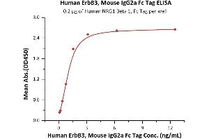 Immobilized Human NRG1 Beta 1, Fc Tag (ABIN6973185) at 2 μg/mL (100 μL/well) can bind Human ErbB3, Mouse IgG2a Fc Tag (ABIN6933653,ABIN6938840) with a linear range of 0. (ERBB3 Protein (AA 20-643) (Fc Tag))