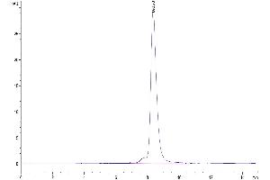 Size-exclusion chromatography-High Pressure Liquid Chromatography (SEC-HPLC) image for Inducible T-Cell Co-Stimulator Ligand (ICOSLG) (AA 47-279) protein (His tag) (ABIN7273971)