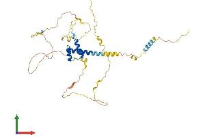 Protein Structure (PS) image for NK6 Homeobox 1 (NKX6-1) (AA 1-365) protein (His tag) (ABIN7560400)