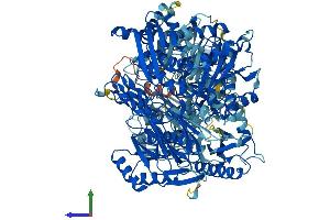 AlphaFold protein structure predicition of Mouse Recombinant Oplah Protein, UniprotID Q8K010 (OPLAH Protein (AA 1-1288) (His tag))