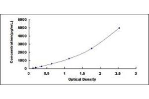Typical standard curve (TICAM1 ELISA 试剂盒)