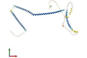AlphaFold protein structure predicition of Human Recombinant CCDC83 Protein, UniprotID Q8IWF9