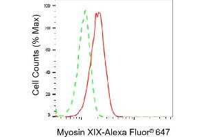 Flow cytometric analysis of Myosin XIX expression in HepG2 cells using Myosin XIX antibody (ABIN7799525), 1:2,000). (Recombinant Myosin XIX 抗体)