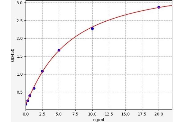 HDAC1 ELISA 试剂盒