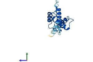 Protein Structure (PS) image for CDKN2A Interacting Protein N-Terminal Like (CDKN2AIPNL) (AA 1-116) protein (His tag) (ABIN7552822)