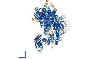 AlphaFold protein structure predicition of Mouse Recombinant Smyd4 Protein, UniprotID Q8BTK5