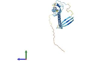 Protein Structure (PS) image for Cell Death-Inducing DFFA-Like Effector A (CIDEA) (AA 1-217) protein (His tag) (ABIN7562530)