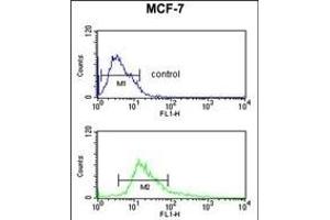 Flow Cytometry (FACS) image for anti-Catenin (Cadherin-Associated Protein), alpha 1, 102kDa (CTNNA1) (AA 30-59), (N-Term) antibody (ABIN390505)