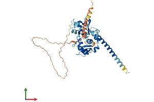 Protein Structure (PS) image for Melanoma Antigen Family B, 10 (MAGEB10) (AA 1-347) protein (His tag) (ABIN7549226)