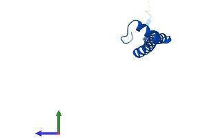 Protein Structure (PS) image for Cytochrome C Oxidase Subunit VIc (COX6C) (AA 1-76) protein (Fc Tag) (ABIN7560473)