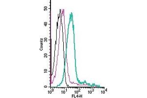 Cell surface detection of ENPP1 by indirect flow cytometry in live intact human  monocytic leukemia cell line: + goat-anti-rabbit-APC. (ENPP1 抗体  (Extracellular))