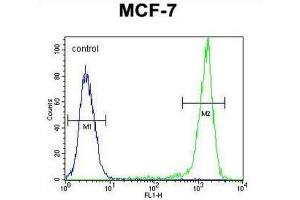 Flow Cytometry (FACS) image for anti-Sphingomyelin Synthase 2 (SGMS2) antibody (ABIN3004329) (Sphingomyelin Synthase 2 抗体)