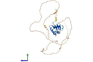 Protein Structure (PS) image for Ets Variant 2 (ETV2) (AA 1-342) protein (His tag) (ABIN7547372)