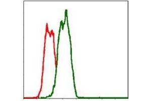 Flow cytometric analysis of Hela cells using FAS mouse mAb (green) and negative control (red). (FAS 抗体)
