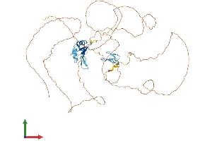 Protein Structure (PS) image for TAF15 RNA Polymerase II, TATA Box Binding Protein (TBP)-Associated Factor, 68kDa (TAF15) (AA 1-592) protein (His tag) (ABIN7551190)