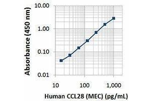 ELISA image for anti-Chemokine (C-C Motif) Ligand 28 (CCL28) antibody (ABIN2664098) (CCL28 抗体)