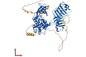 Protein Structure (PS) image for Polo-Like Kinase 3 (PLK3) (AA 1-646) protein (His tag) (ABIN7554995)