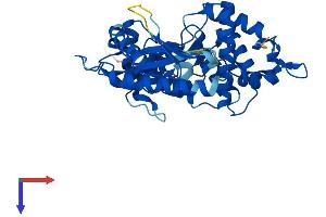 OAS1A Protein (AA 1-367) (His tag)