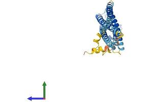 Protein Structure (PS) image for Syntaxin 3 (STX3) (AA 1-289) protein (His tag) (ABIN7546404)