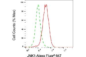 Flow cytometric analysis of JNK1 expression in C2C12 cells using JNK1 antibody (ABIN7799457), 1:2,000).