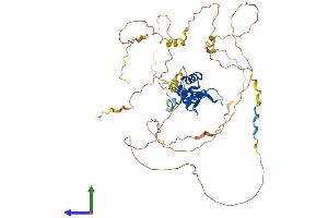 AlphaFold protein structure predicition of Human Recombinant FOXC2 Protein, UniprotID Q99958