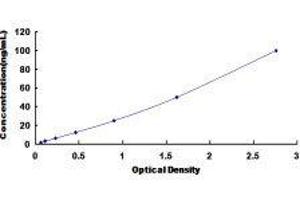 Typical standard curve (RPN1 ELISA 试剂盒)