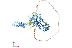 Protein Structure (PS) image for Katanin P60 (ATPase Containing) Subunit A 1 (KATNA1) (AA 1-491) protein (His tag) (ABIN7565233)