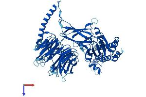 BBS7 Protein (AA 1-715) (His tag)