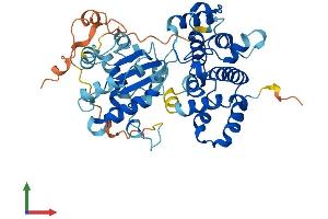 Protein Structure (PS) image for rho GTPase Activating Protein 1 (ARHGAP1) (AA 1-439) protein (His tag) (ABIN7557454)