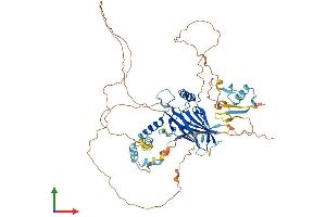 Protein Structure (PS) image for Grainyhead-Like 3 (GRHL3) (AA 1-626) protein (His tag) (ABIN7554037)
