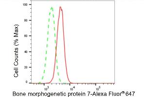 Flow cytometric analysis of Bone morphogenetic protein 7 expression in H9c2 cells using Bone morphogenetic protein 7 antibody (ABIN7797777), 1:2,000).