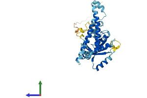 Protein Structure (PS) image for Proteasome (Prosome, Macropain) 26S Subunit, Non-ATPase, 14 (PSMD14) (AA 1-310) protein (His tag) (ABIN7562336)