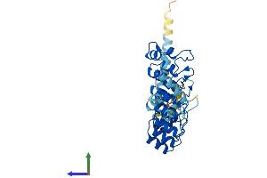 Protein Structure (PS) image for Ankyrin Repeat and SOCS Box-Containing 11 (ASB11) (AA 1-323) protein (His tag) (ABIN7552344)
