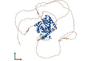 Protein Structure (PS) image for Eyes Absent Homolog 4 (EYA4) (AA 1-616) protein (His tag) (ABIN7565272)