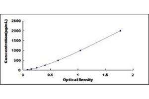 Typical standard curve (GCP2 ELISA 试剂盒)