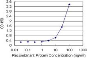 Sandwich ELISA detection sensitivity ranging from 1 ng/mL to 100 ng/mL. (HMGB2 (人) Matched Antibody Pair)