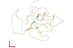AlphaFold protein structure predicition of Human Recombinant AMER2 Protein, UniprotID Q8N7J2